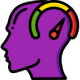 brain